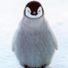 APenguin
