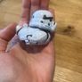 Mini duck stormtrooper Image 3