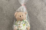 Powell Craft Teddy in pjs BNWT