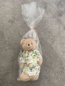 Powell Craft Teddy in pjs BNWT