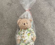 Powell Craft Teddy in pjs BNWT