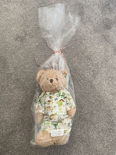 Powell Craft Teddy in pjs BNWT