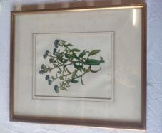Framed prints