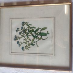 Framed prints
