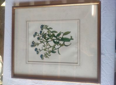 Framed prints