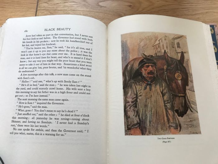 New Black Beauty Book