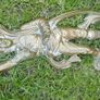Vintage Italian Style Brass Male Figure Decorative Stick Umbrella Stand Rack 23" Image 6