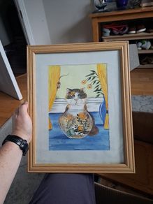 cat picture