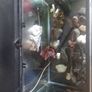 fish tank Image 2