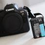 Canon R6 Mk 2 Image 9