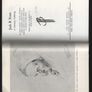 Jack B. Yeats. A Centenary Gathering. Edited & Introduced by Roger McHugh. Image 3