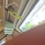 1990 fiat Ducato Camper Project Image 6