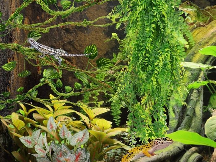 Reptile Plants, Terrarium Hanging Plant Vines Artificial Leaves Reptile Hide, Leopard Gecko Tank Accessories, Terrarium Decorations for Bearded Dragon Lizard Snake Geckos Chameleon (FREE POSTAGE)