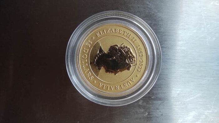 Gold coin koala