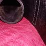 Old Truncheon Baton case holder Image 5