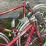biks Image 3