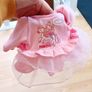 baby anabelle bundle Image 6