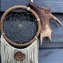 Sacred Antler Dream Catcher Portal with Pheasant Feathers, Olive Wood Spiral and Fig Tree Beads Image 3
