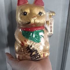 Maneki-neko Cat