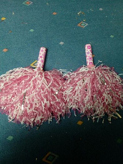 Pink Pom Poms