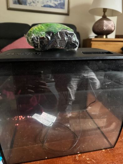 fish tank