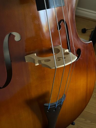 Double Bass 3/4 size with stand and carry case
