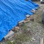 firewood Image 4