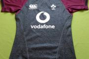 Mint IRFU Canterbury Training Test Jersey Size M Adults
