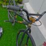 BMX DK race bike Image 7