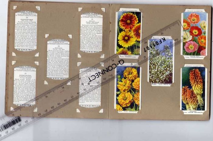 Wills's Cigarette Picture-card Album  Of Garden Flowers