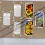 Wills's Cigarette Picture-card Album  Of Garden Flowers Image 8