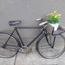 Triumph Bicycle. Image 4
