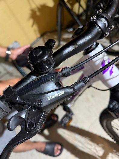 Lapierre Women's Mountain Bike