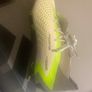 Adidas football boots size 8 uk BNIB Image 2
