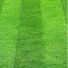 shortgrass