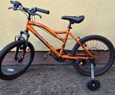 20 inch bike