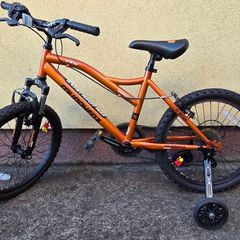 20 inch bike