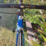 Paganini Carbon Frame 52cm Image 10