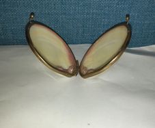Clamps shell