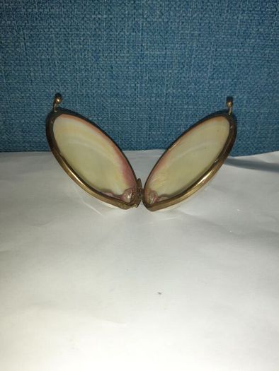 Clamps shell