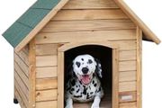 Dog House