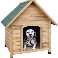 Dog House