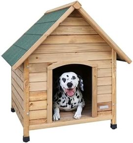 Dog House
