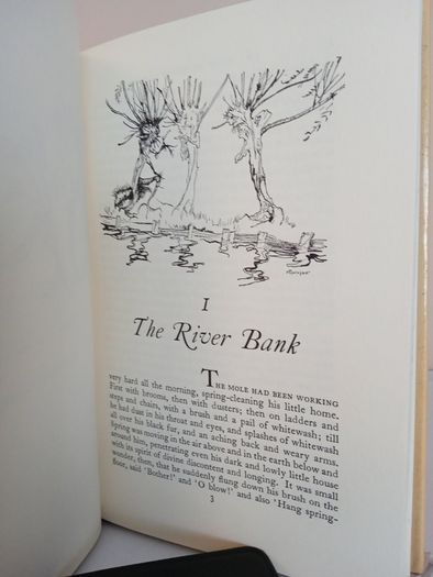 The Wind in the Willows by Kenneth Grahame. Illustrated by Arthur Rackham (PT170)