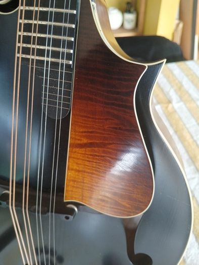 Coostar F5 Mandolin