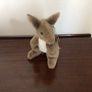 2 Small Collectible soft toys kangaroo and Beaver Image 2