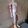 Vintage Anatomical Male Image 2