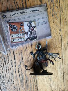 Games Workshop Warhammer Age of Sigmar Warcry Centaurion Marshal Slaves to Darkness