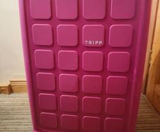 Large suitcase (Tripp)