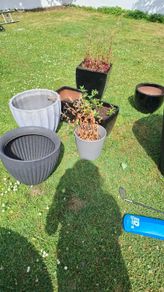 Plant pots